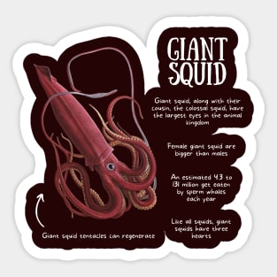 Animal Facts - Giant Squid Sticker